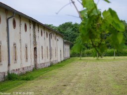 IMGP0238